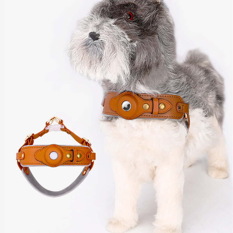 Leather AirTag Dog Harness & Leash Set